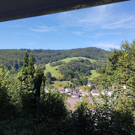 Das Tor Zum Odenwald Gorxheimertal Exterior photo